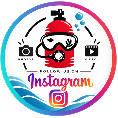 Trips Gallery on Instagram